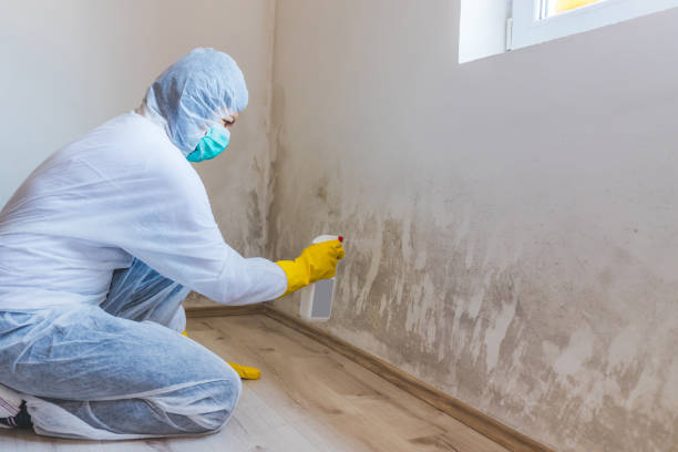 Hvac And Air Duct Mold Remediation inspection of HVAC system in Thorndale